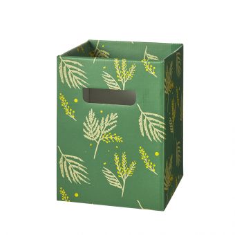 Mimosa Porto Boxes