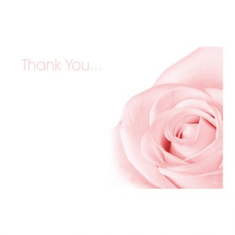 Thank You - Open Pink Rose