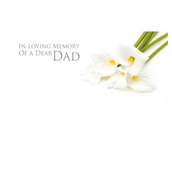 ILM Dear Dad - Calla Lilies