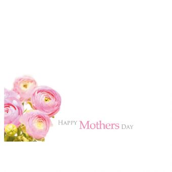 Happy Mothers Day - Pink Ranunculus