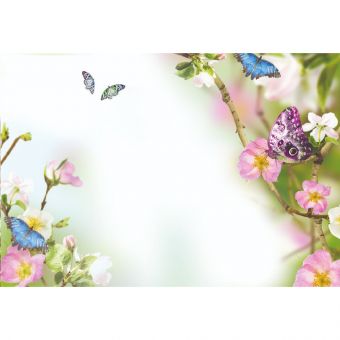 Butterflies & Flowers (60-00401-GROUP)