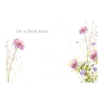 ILM Dear Mum - Star Bright Wild Flowers