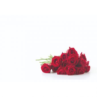 Red Rose Bunch (60-00732-GROUP)
