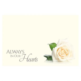 Always in our Hearts - Single White Rose