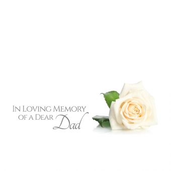 ILM Dear Dad - Single White Rose