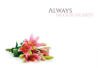 Always in our Hearts - Pink Lilies (60-01003-GROUP)