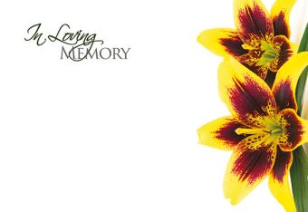 ILM - Yellow Flower (60-01009-GROUP)