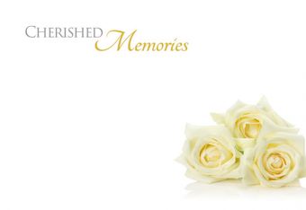 Cherished Memories - Ivory Roses (60-01014-GROUP)