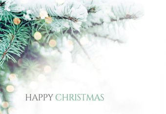 Happy Christmas - Holly (60-01125-GROUP)
