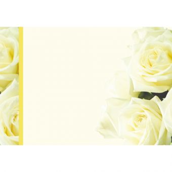 Ivory Roses (68378-GROUP)